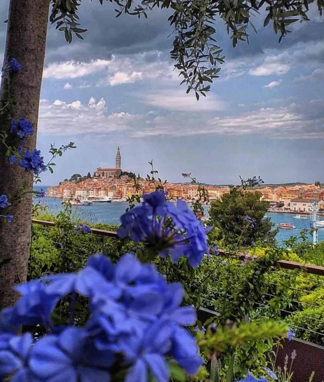 Apartments Mary & Free Parking Rovinj Cameră foto